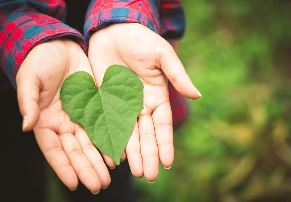 marketing and the environmental impact of your Milwaukee business